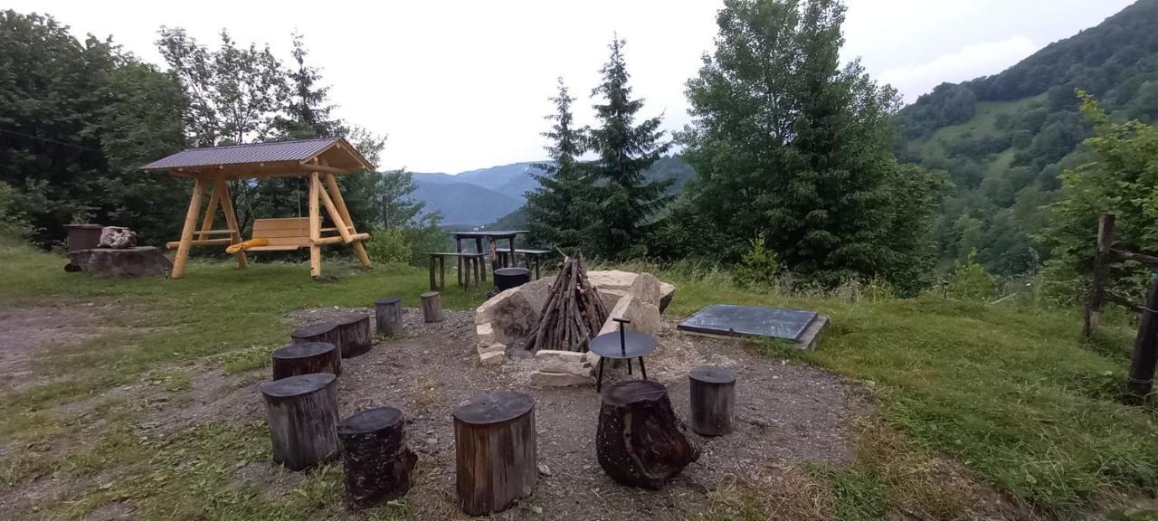 Cabana Belvedere Dragoslavele Exteriör bild