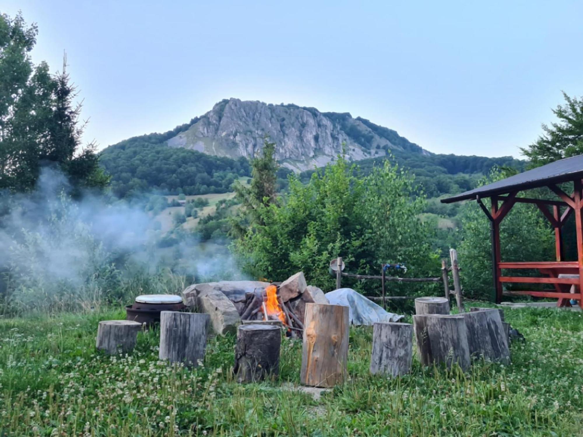 Cabana Belvedere Dragoslavele Exteriör bild